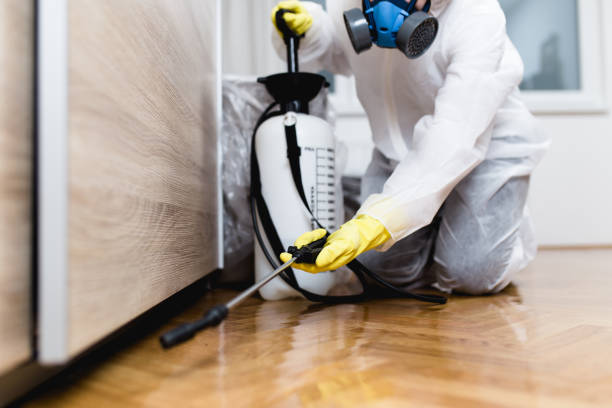 Best Wasp Removal Services  in Preston, MN