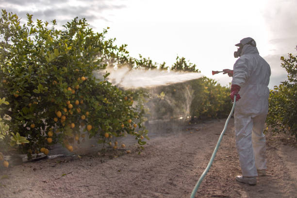 Best Best Pest Control Companies  in Preston, MN